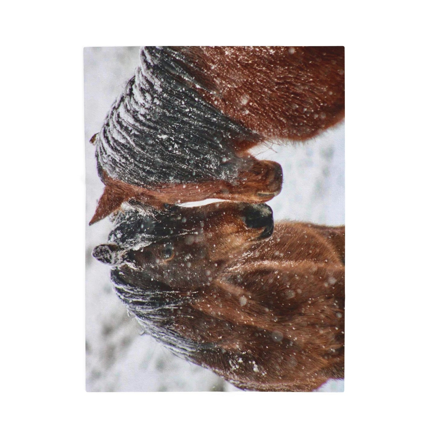 Horse Portrait Velveteen Plush Blanket | Winter Snow Horses