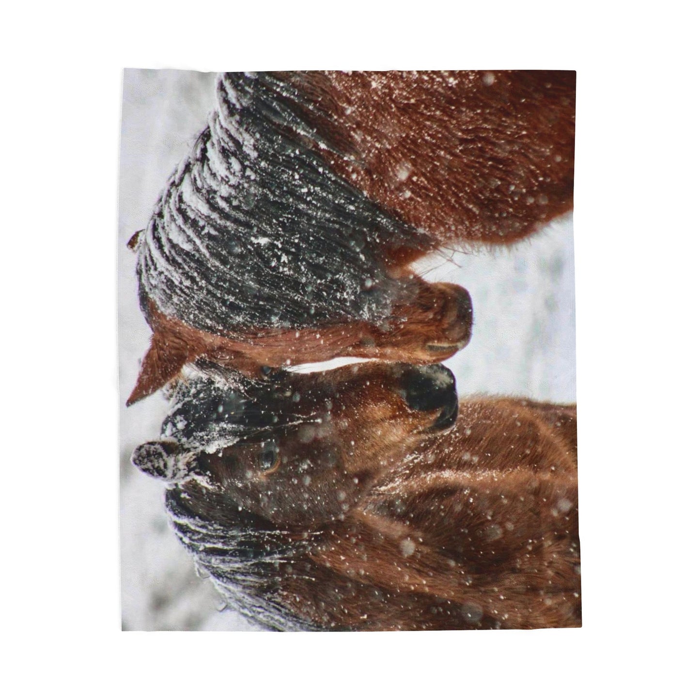 Horse Portrait Velveteen Plush Blanket | Winter Snow Horses