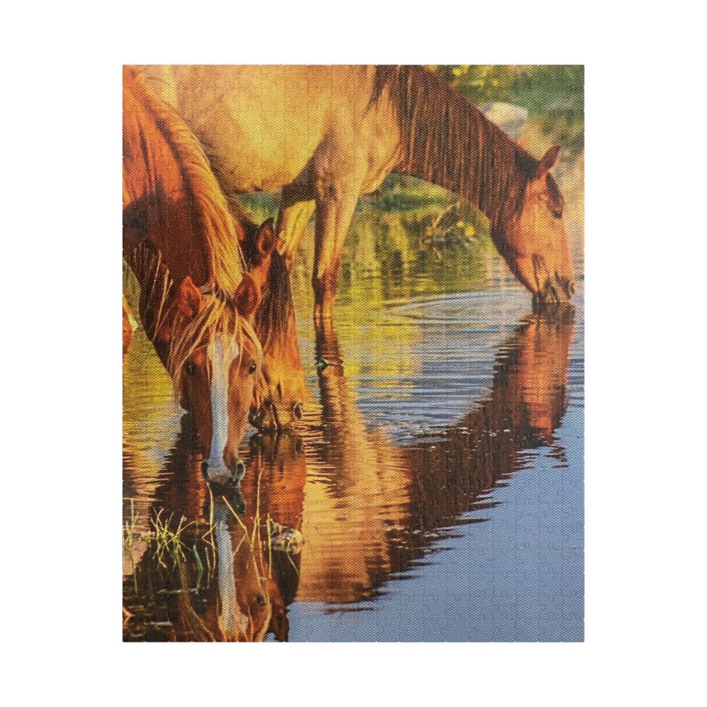Horse in the River Reflections Jigsaw Puzzle — Scenic 520‑Piece Puzzle
