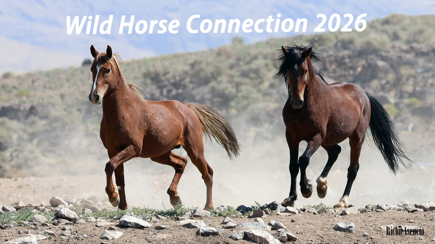 2026 Wild Horse Calendar