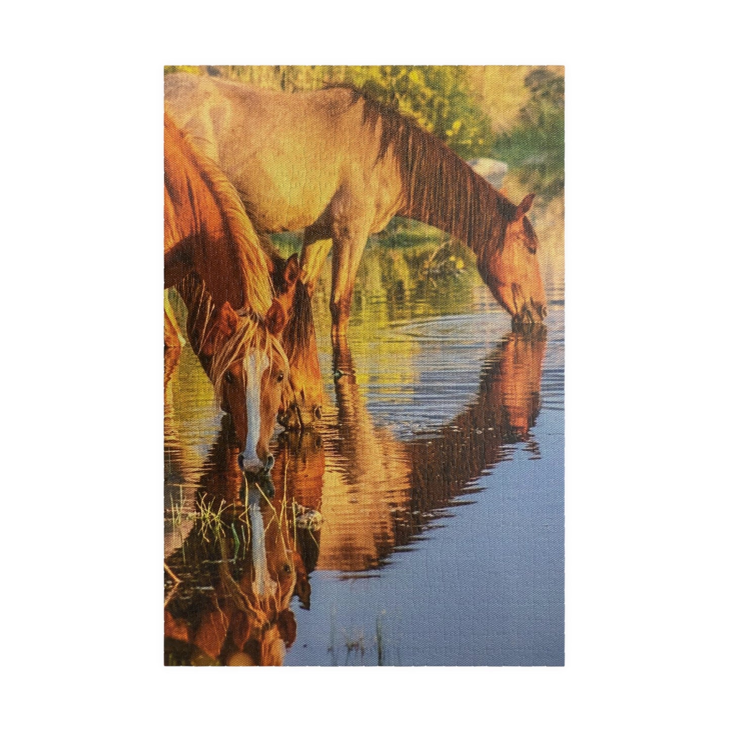 Horse in the River Reflections Jigsaw Puzzle — Scenic 520‑Piece Puzzle